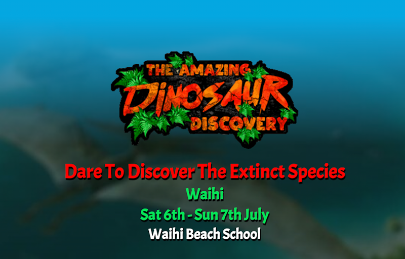 The Amazing Dinosaur Discovery 